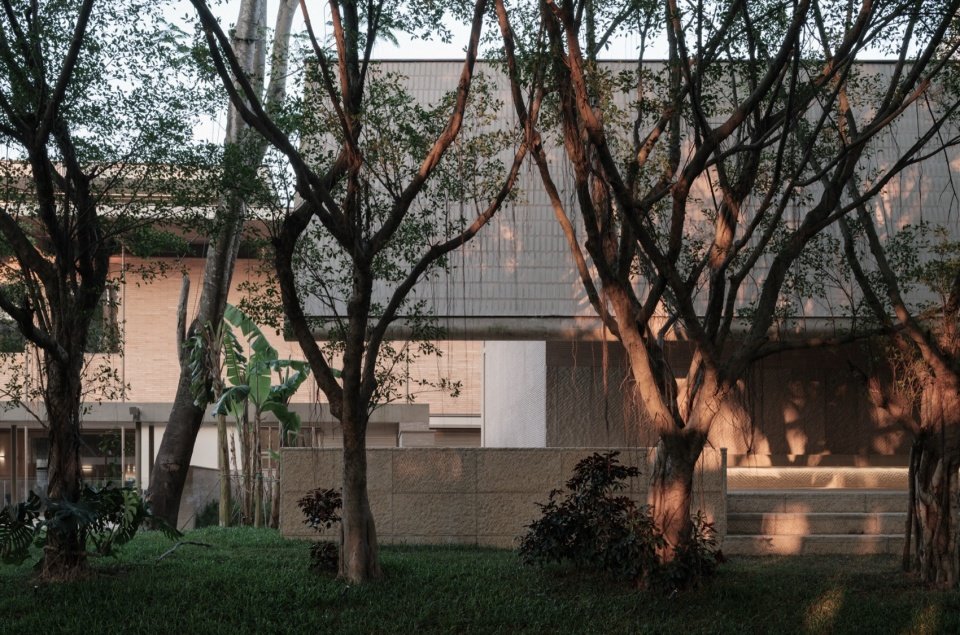 Banyan Tree Avenue