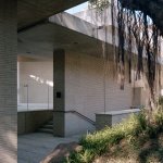 在这种新旧共生的格局中