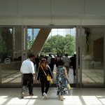 尽管城市中仍有绿地存在