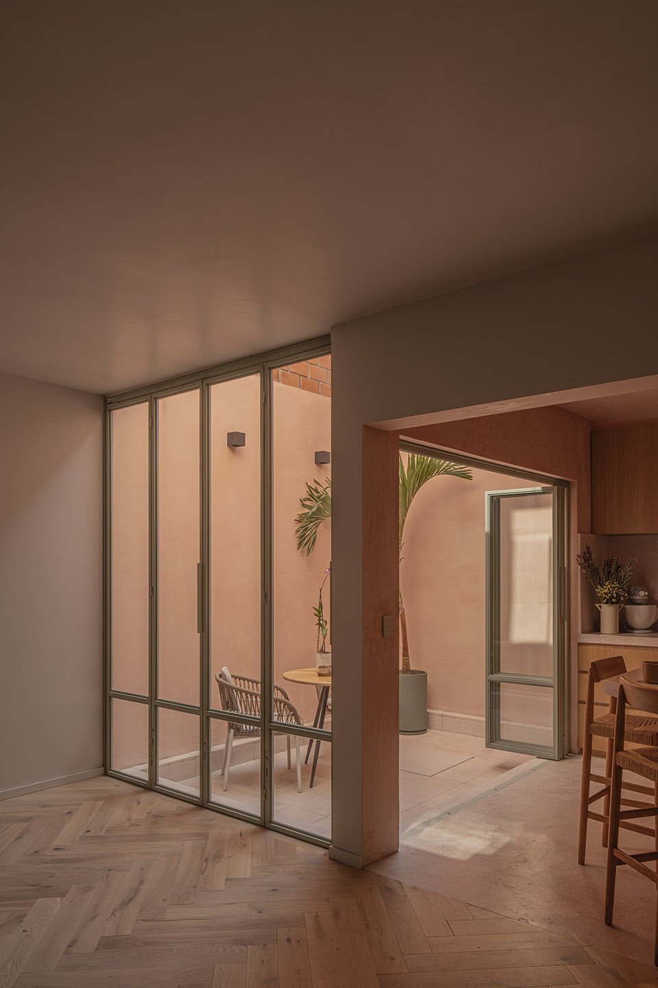 CASA XOLTIC begins