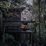 相关文章更多关于他们