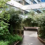 英亚体育最新资讯app下载