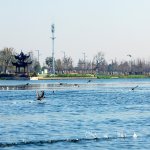 长江三角洲城市群是英亚体育新手怎么玩